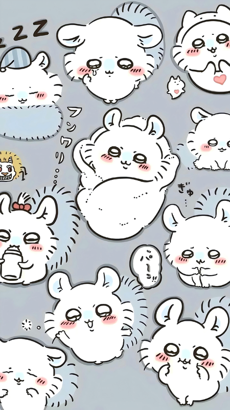 フォトコレクション